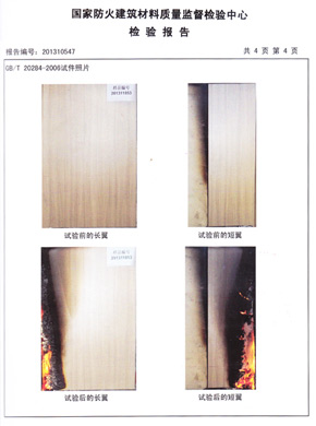 格林雅抗倍特燃烧性能检验报告(中)