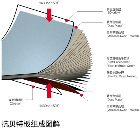 格林雅抗倍特板组成图解
